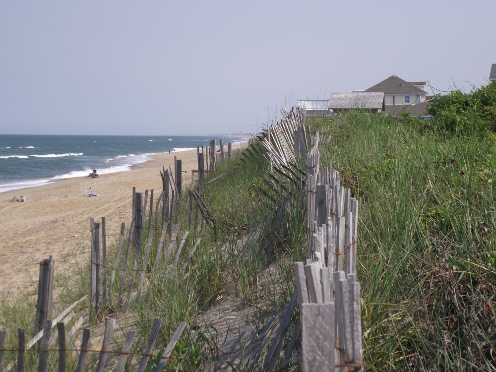 dscf0216.jpg
