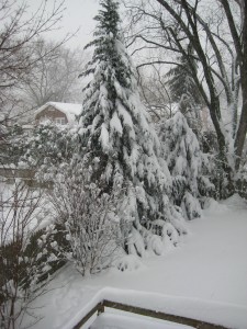 IMG_0675.JPG