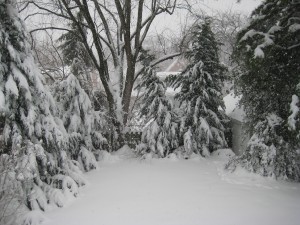 IMG_0676.JPG