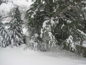 IMG_0677.JPG