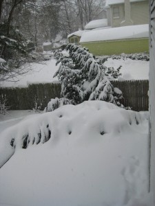 IMG_0679.JPG