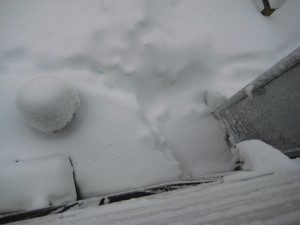 IMG_0681.JPG