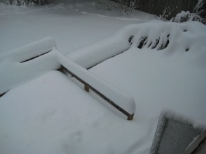 IMG_0683.JPG