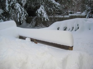 IMG_0696.JPG