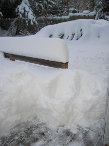 IMG_0700.JPG