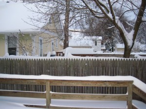 IMG_0702.JPG