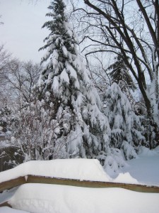 IMG_0703.JPG