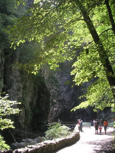 pict3022.jpg