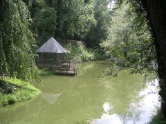 PICT3051.JPG