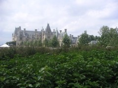 PICT3055.JPG