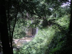 PICT3058.JPG