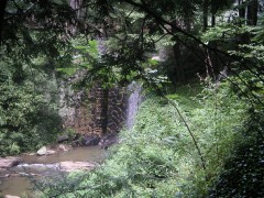 PICT3059.JPG